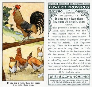 雌鶏の場合は、産卵します。コックの場合、カラス、1931年（498192も参照）